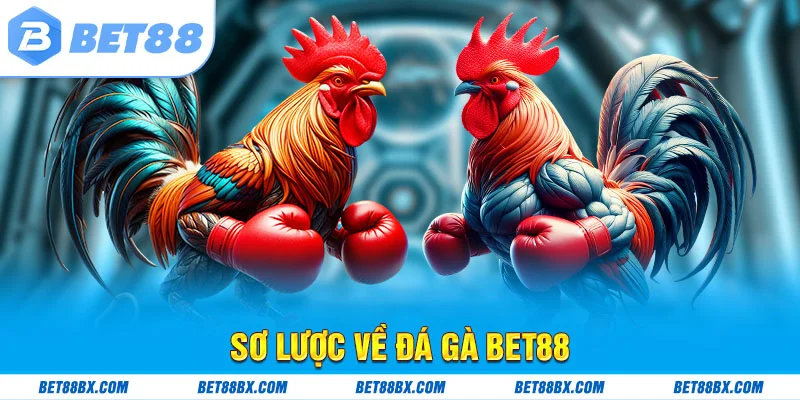 Sơ lược về đá gà bet88