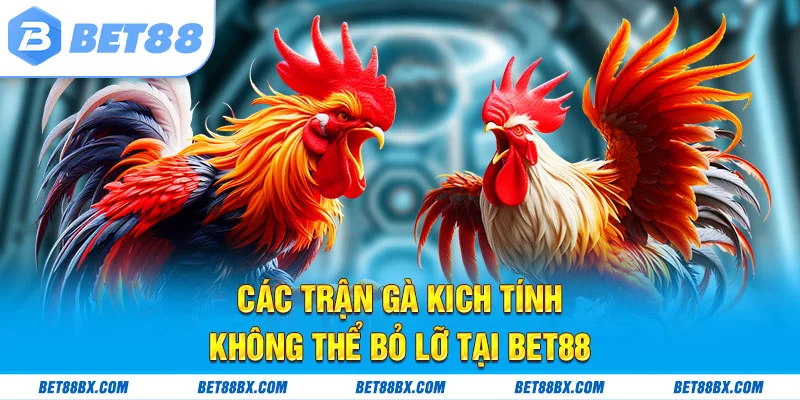 Các trận gà kịch tính không thể bỏ lỡ tại bet88