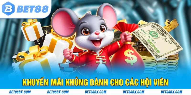 Khuyến mãi khủng dành cho các hội viên